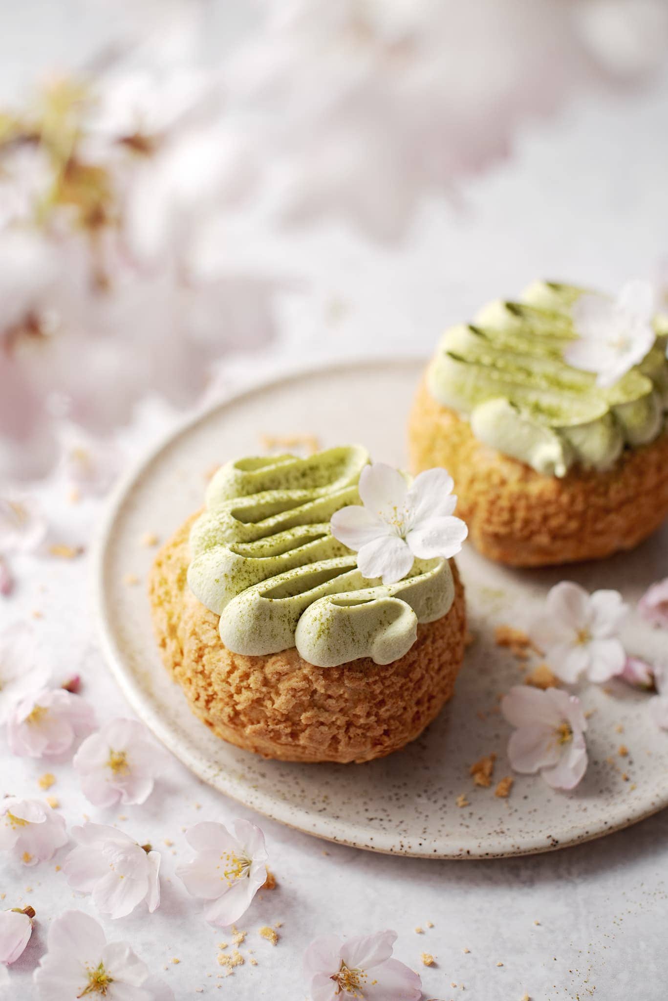 Matcha cream puffs surrounded by cherry blossoms