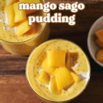 Overheard view of fresh mango chunks on top of mango sago.