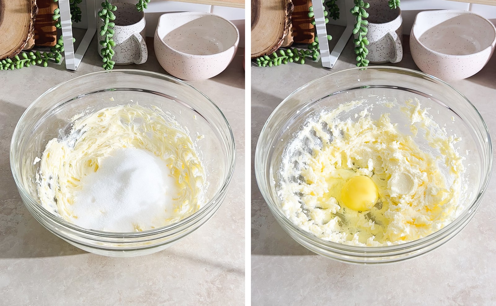 Left to right: sugar in a bowl of softened butter, egg in bowl of creamed butter.