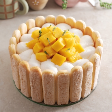 A mango charlotte cake on a plate with a ring of ladyfingers on the outside.