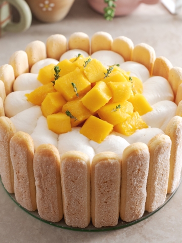 A mango charlotte cake on a plate with a ring of ladyfingers on the outside.