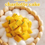 Top down view of cake showing whipped cream and pile of mango chunks on top.