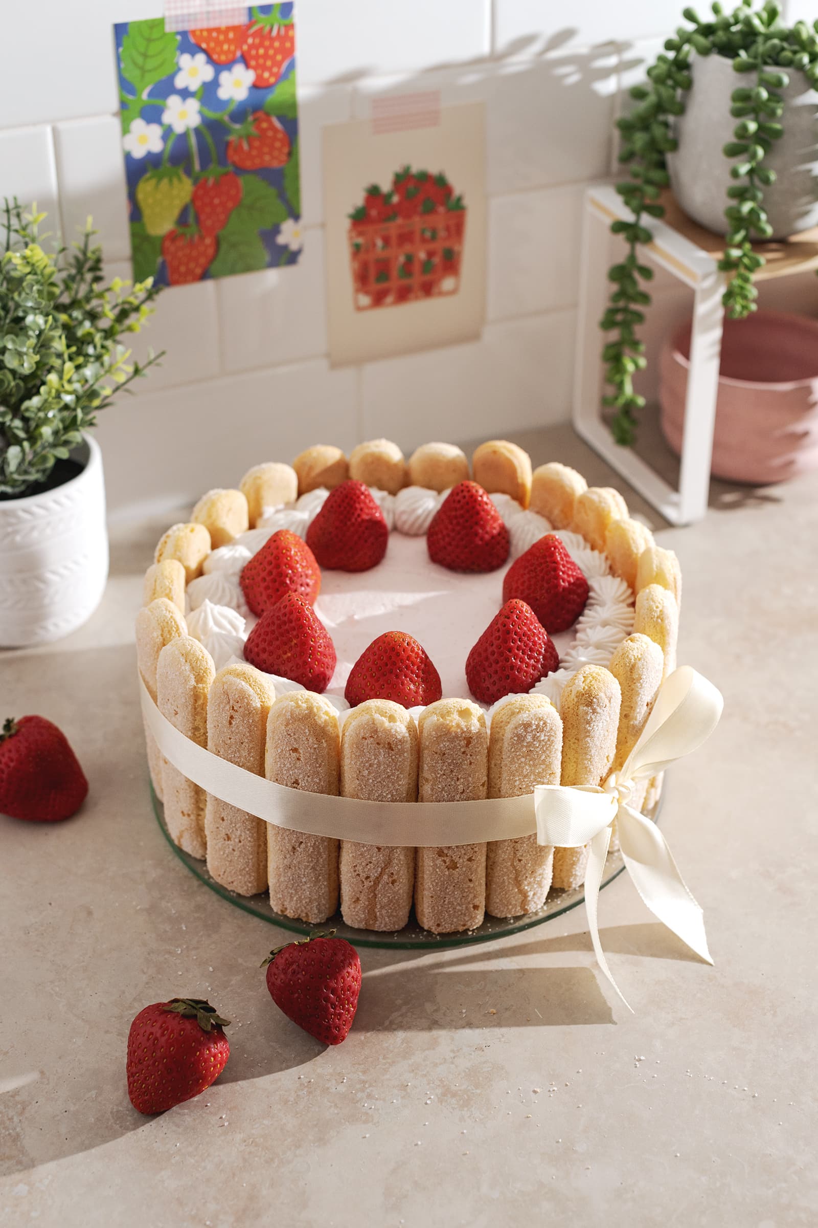 A strawberry charlotte cake wrapped in a ribbon on a counter with strawberries scattered around it.