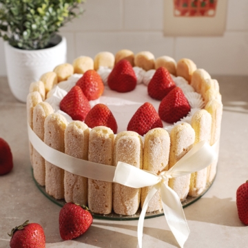 A strawberry charlotte cake wrapped in a ribbon on a counter.
