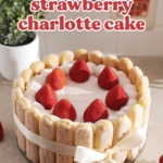 A strawberry charlotte cake wrapped in a ribbon on a counter.