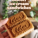 Hand holding ice cream sandwich with two biscoff cookies on top.