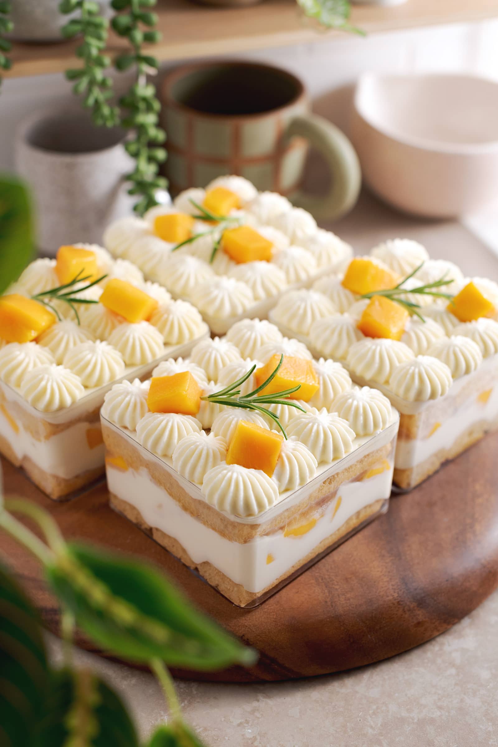Four containers of mango tiramisu on a wooden platter with greenery around it.