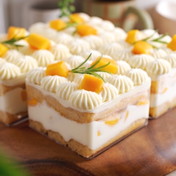 Square container of tiramisu with the layers of ladyfingers, mascarpone cream, and mangoes showing through the sides.