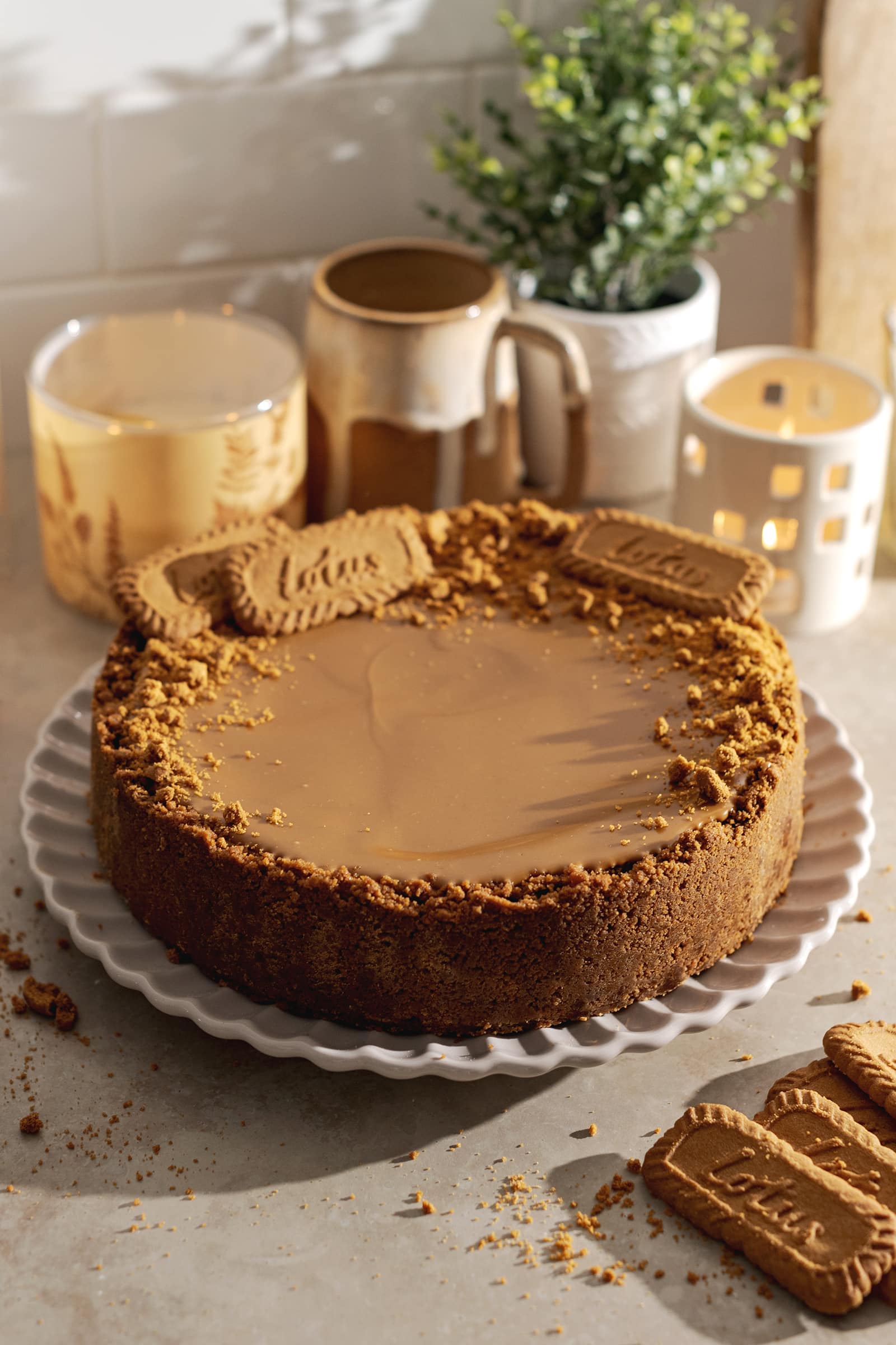 A whole biscoff cheesecake on a scalloped plate.