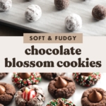 Two images of chocolate blossom cookies before and after baking with text overlay that reads "soft and fudgy chocolate blossom cookies".