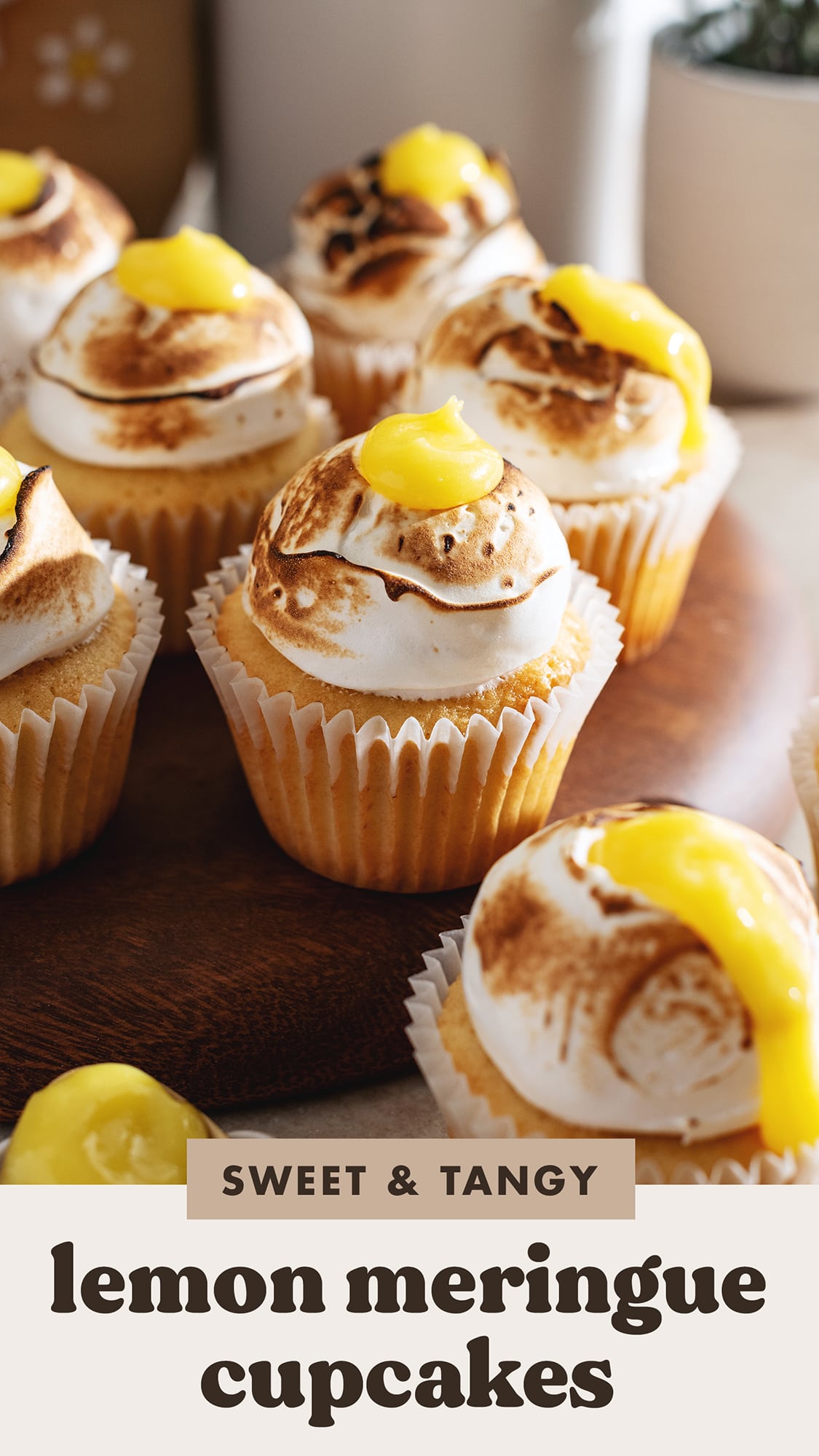 Lemon Meringue Cupcakes - Teak & Thyme
