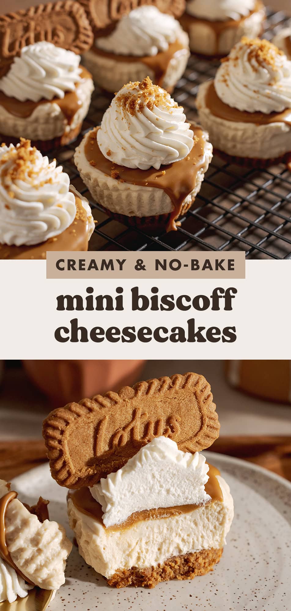 Mini Biscoff Cheesecakes (no-bake) - Teak & Thyme