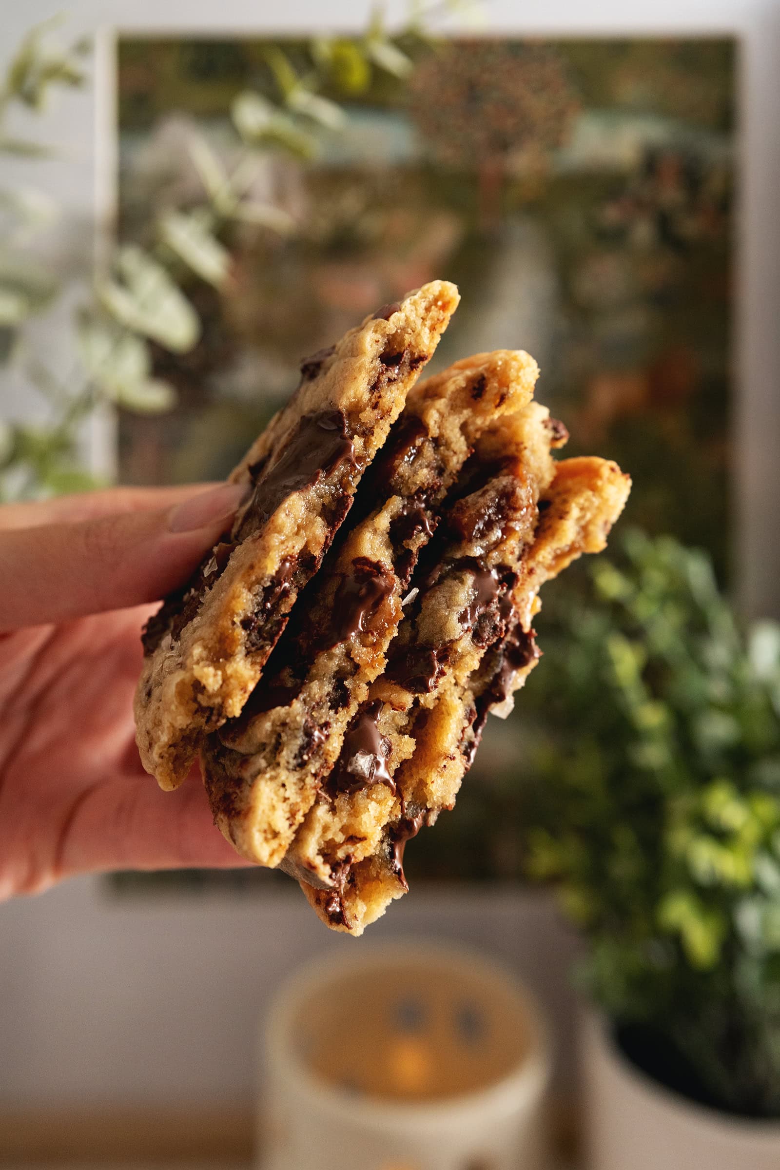 Hand holding four halves of toffee cookies to show the melted chocolate inside.