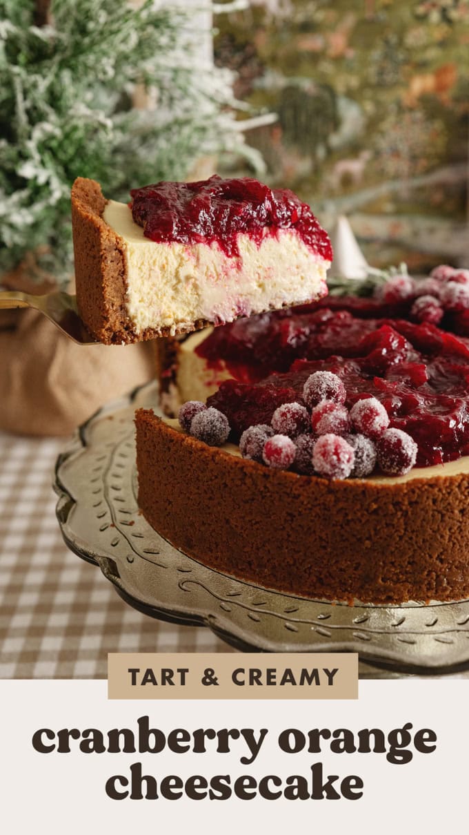 A slice of cranberry orange cheesecake being lifted with a cake server above the rest of the cheesecake.