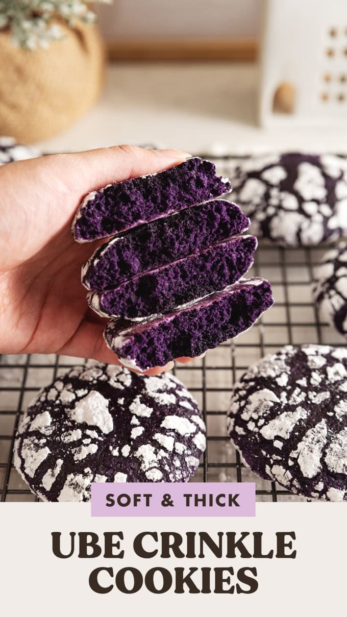 Hand holding four ube crinkle cookies cut in half to show the purple colour and texture inside.